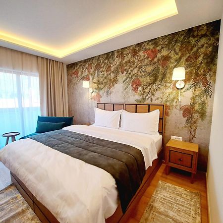 Pensiunea Leonida - Resort Leonida Poiana Tapului Buitenkant foto